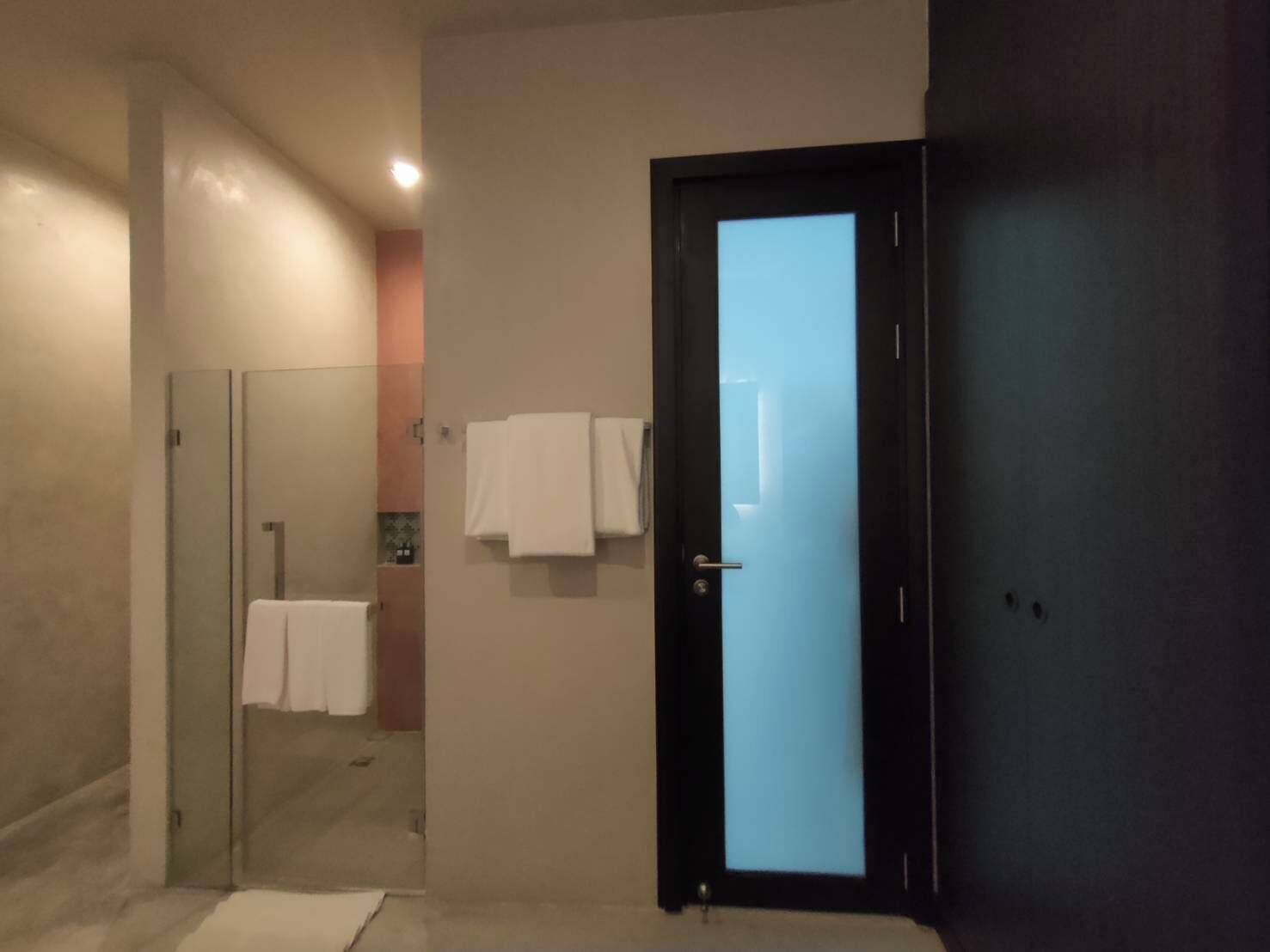 Un baño moderno con cabina de ducha de vidrio, una puerta oscura y un perchero visible.