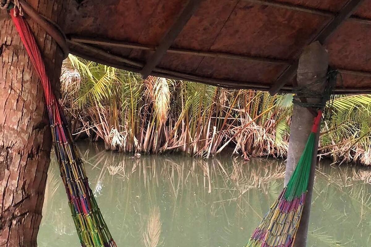 A hammock under a wooden structure by a calm water body with vegetation.