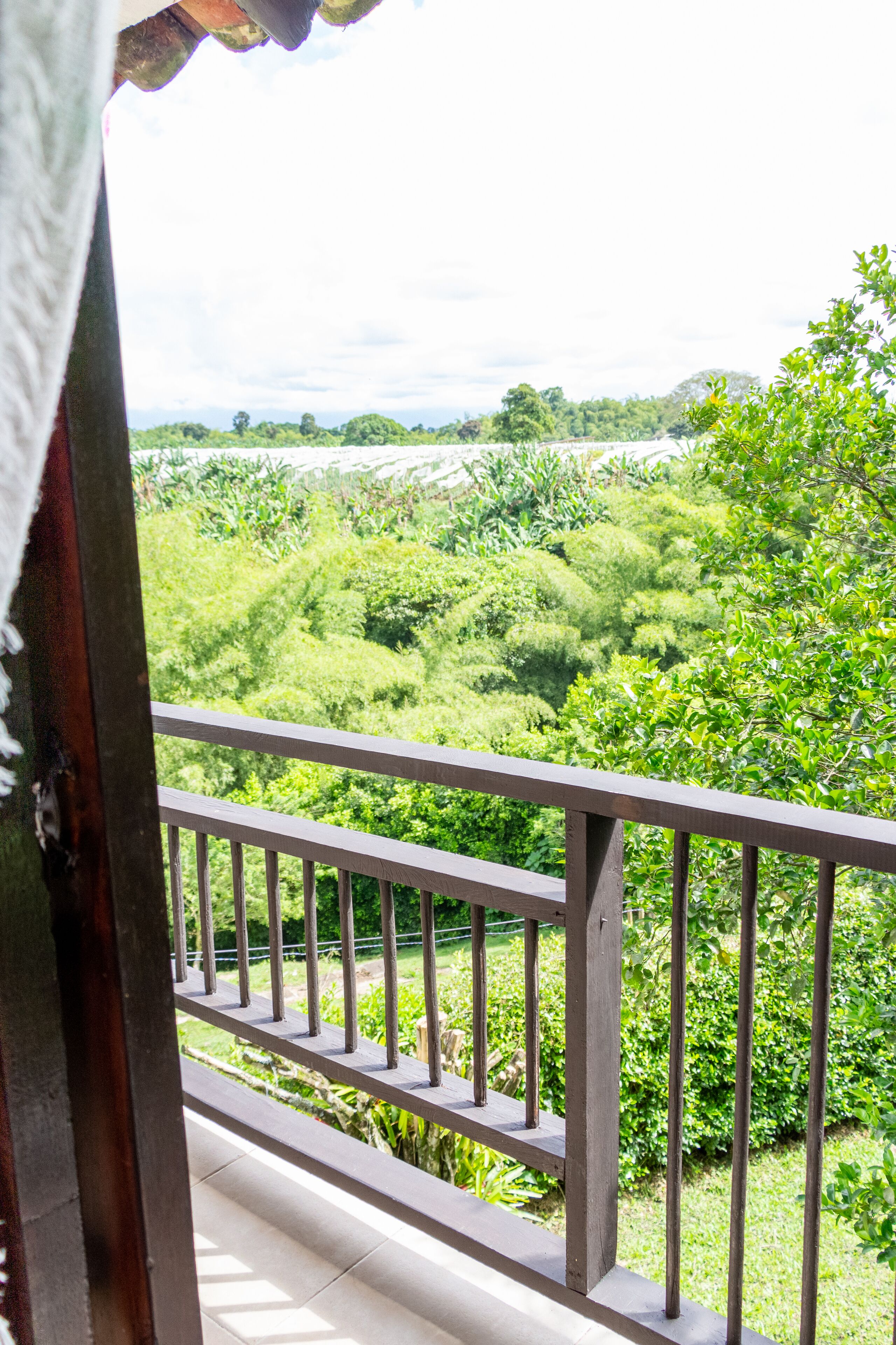 Un balcón con vistas a un paisaje verde exuberante.