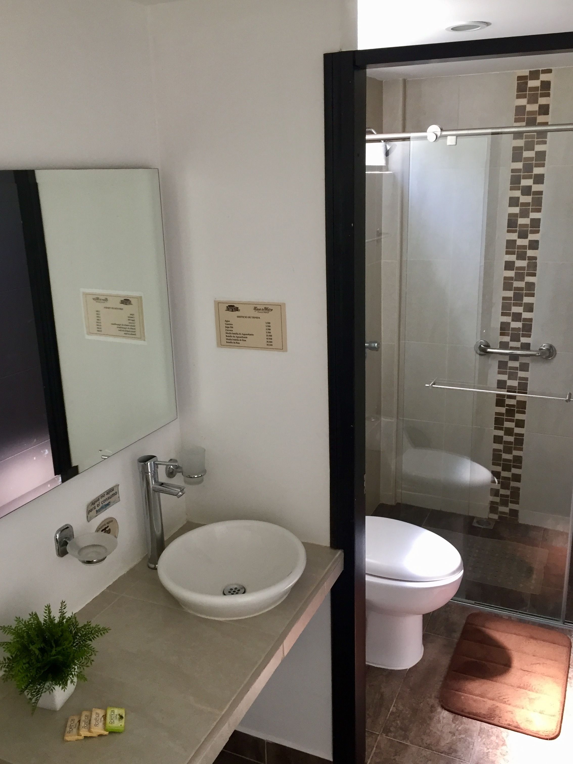 A bathroom with a white sink, a mirror, a toilet, and a shower area.