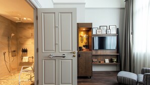 Quarto de hotel com chuveiro, porta, televisão, sofá e armário.
