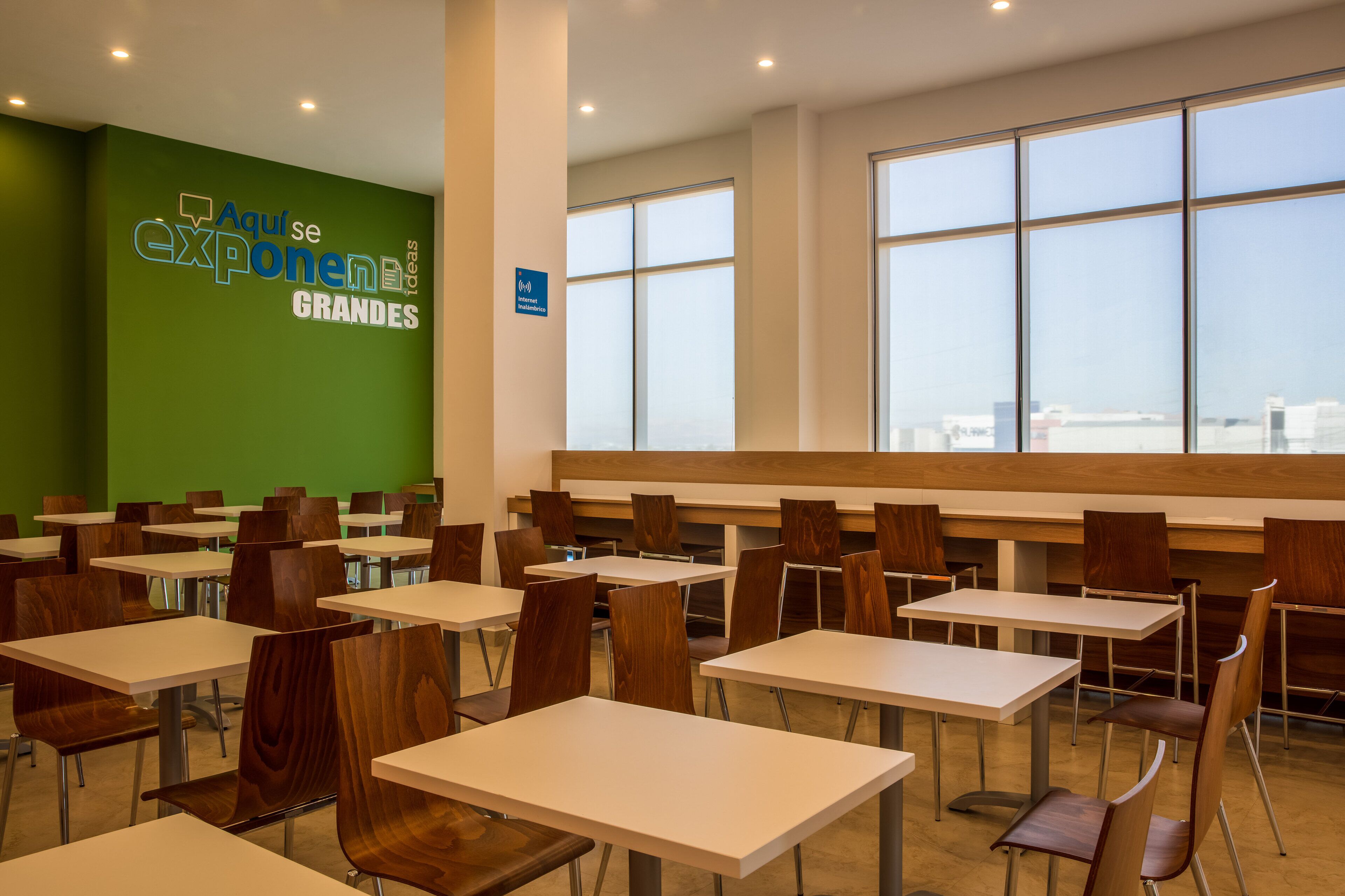 Foto - One Chihuahua Fashion Mall