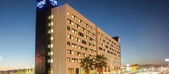 One Chihuahua Fashion Mall