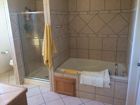 Towels, soap, shampoo, toilet paper - Amistad Lake House Del Rio Tx (Del Rio)