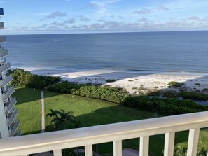 Property grounds - Beachfront, fantastic views, 11th floor, WiFi, super clean, read our reviews! (Fort Myers Beach)