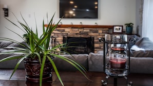 Un salon avec une cheminée en pierre, une plante en pot et un chandelier posé sur une table.