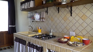 Fridge, stovetop, cookware/dishes/utensils, spices
