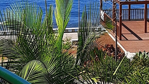 A view of a coastal area with a wooden deck, palm trees, and a boat on the water. - Apartment "Vai Vem" -T2 on the island of Madeira - Portugal Tourism 32408 / AL (Madalena do Mar - Madeira)