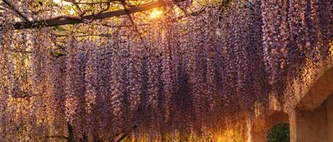 Terrain de lâhĂ©bergement