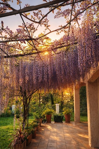 House / Villa - MONTAUROUX