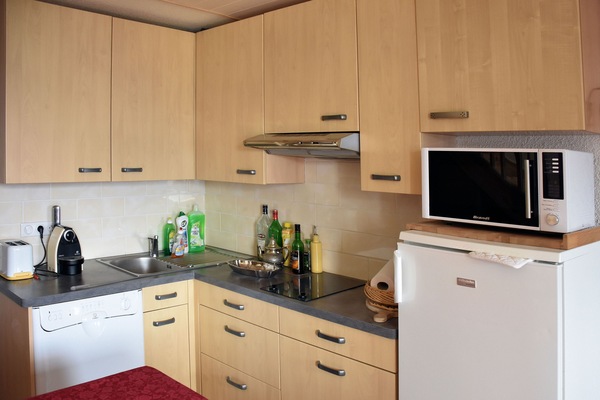 KĂŒhlschrank, Mikrowelle, Herdplatte, GeschirrspĂŒler