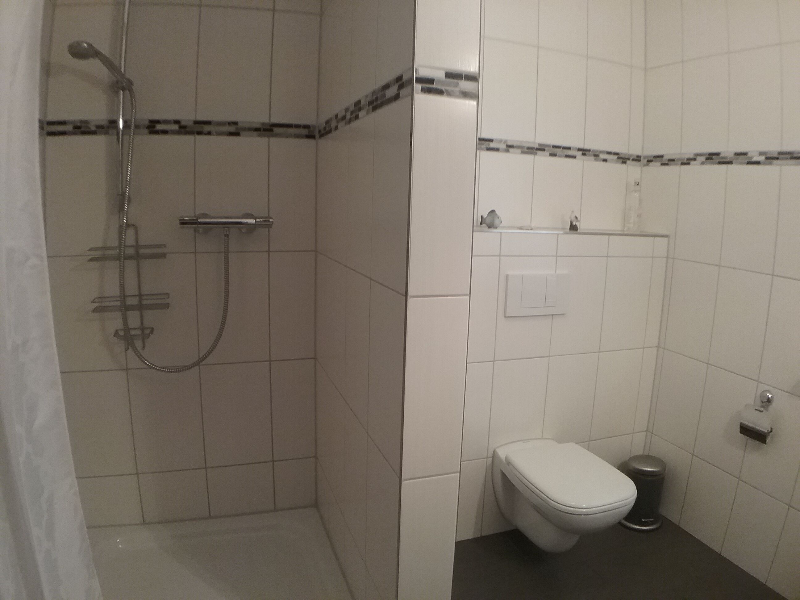 Dusche, Handtücher, Seife, Toilettenpapier