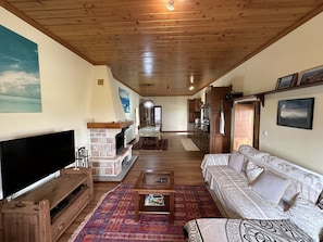 Smart TV, fireplace, DVD player, books