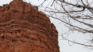 Une formation rocheuse devant laquelle se trouve un jardin, comprenant une petite cascade et diverses plantes.
