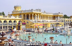 Pool - GREAT LOCATION Fireplace Holidays: city center, spacious, groups/family friendly (Budapest)