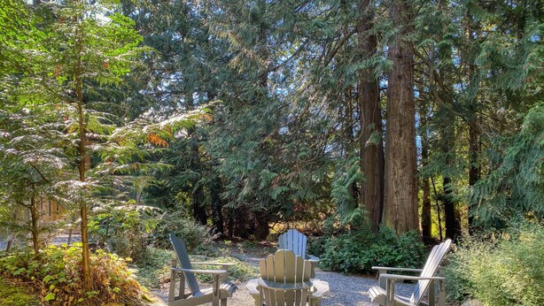 Een bebost gebied met terras, inclusief Adirondack-stoelen en een tafel, omringd door bomen en een grote omgevallen boomstam.
