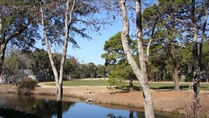 A serene lakeside view with a golf course in the background. - Ocean Palms-Heaven is Being At The Beach-Free Golf/Tennis (Hilton Head Island)