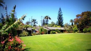 A well-maintained lawn with a house and surrounding tropical vegetation. - Fletcher Christian Apartments (Norfolk Island)