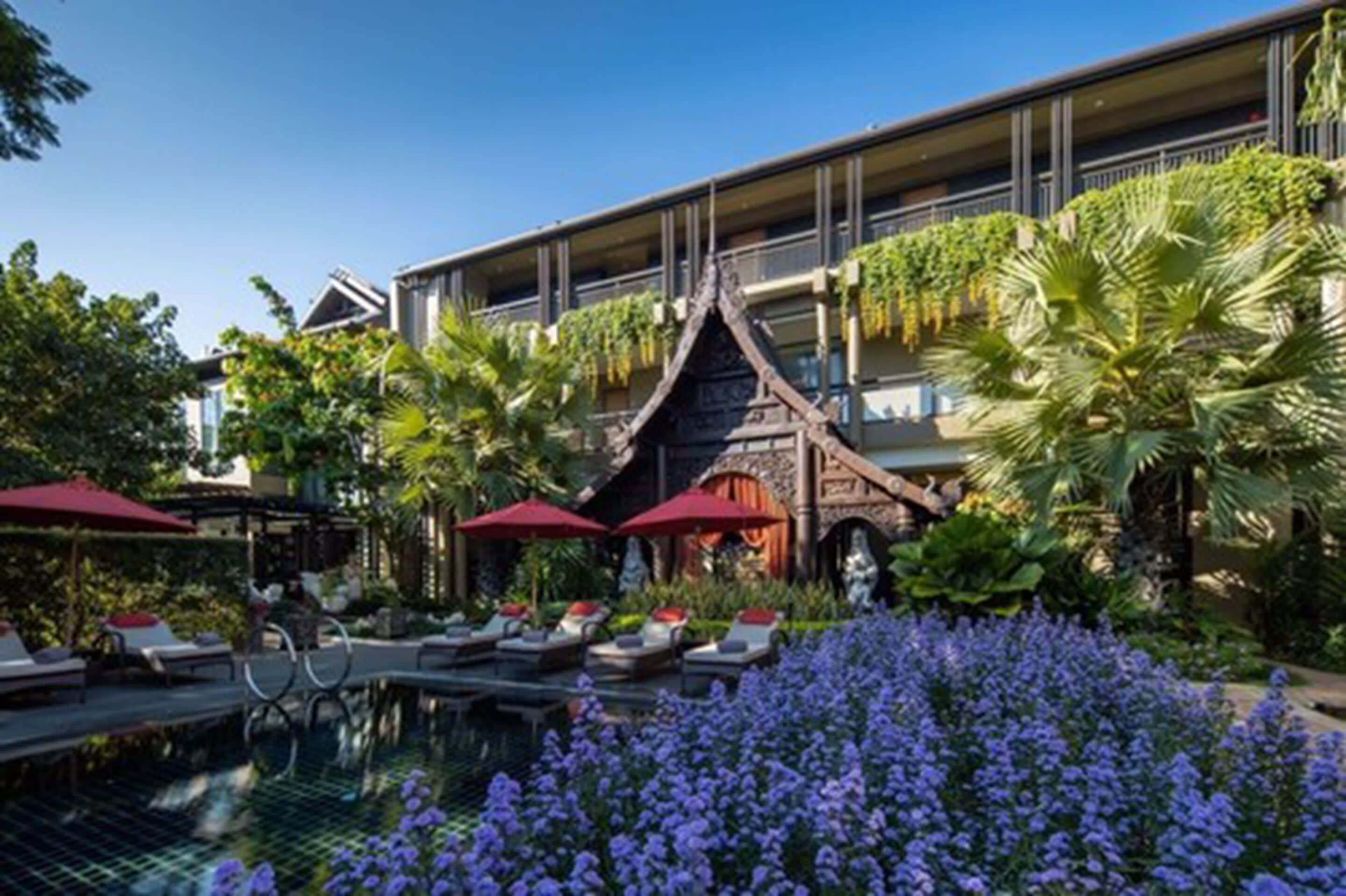 A hotel with a pool area, lounge chairs, and tropical plants.