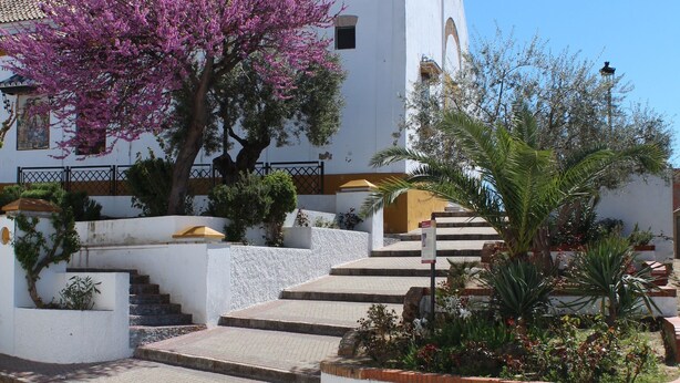 Un edificio blanco con un campanario, rodeado por un patio adoquinado y árboles en flor.