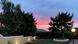 A landscaped garden with a white wall, a tree, and a lamp post.