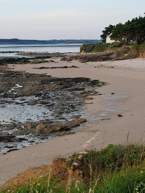 Plage à proximité