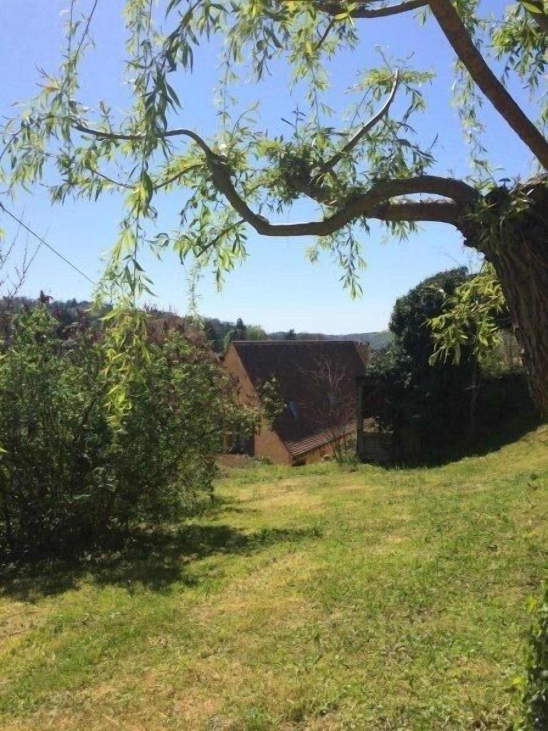 A grassy yard with a large tree, a brick building, and a fence.