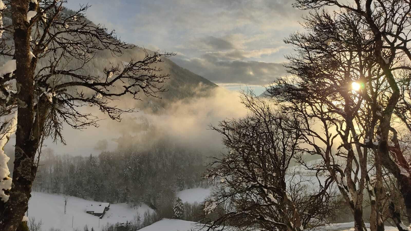 Paisaje montañoso con árboles cubiertos de nieve y una atmósfera brumosa.