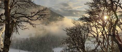 Paisaje montañoso con árboles cubiertos de nieve y una atmósfera brumosa.
