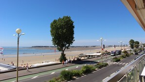 Una carretera costera con vista a la playa, un paso de peatones y un árbol en primer plano.