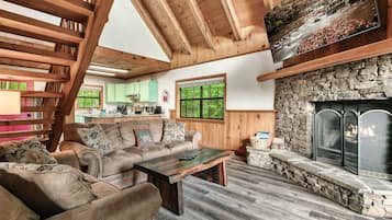 TV, fireplace, DVD player, video library