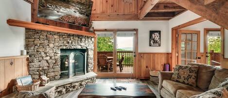 Televisión, chimenea, reproductor de DVD y videoteca