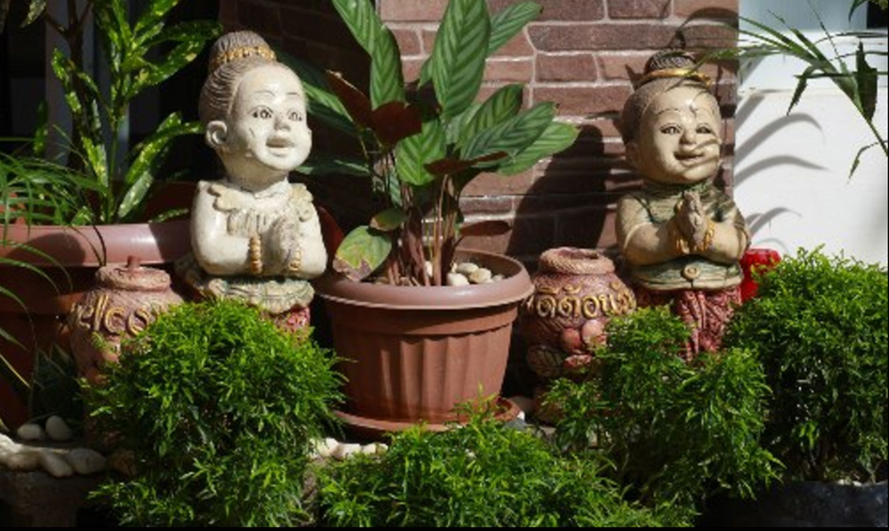 Foto - El Nido Royal Palm Inn