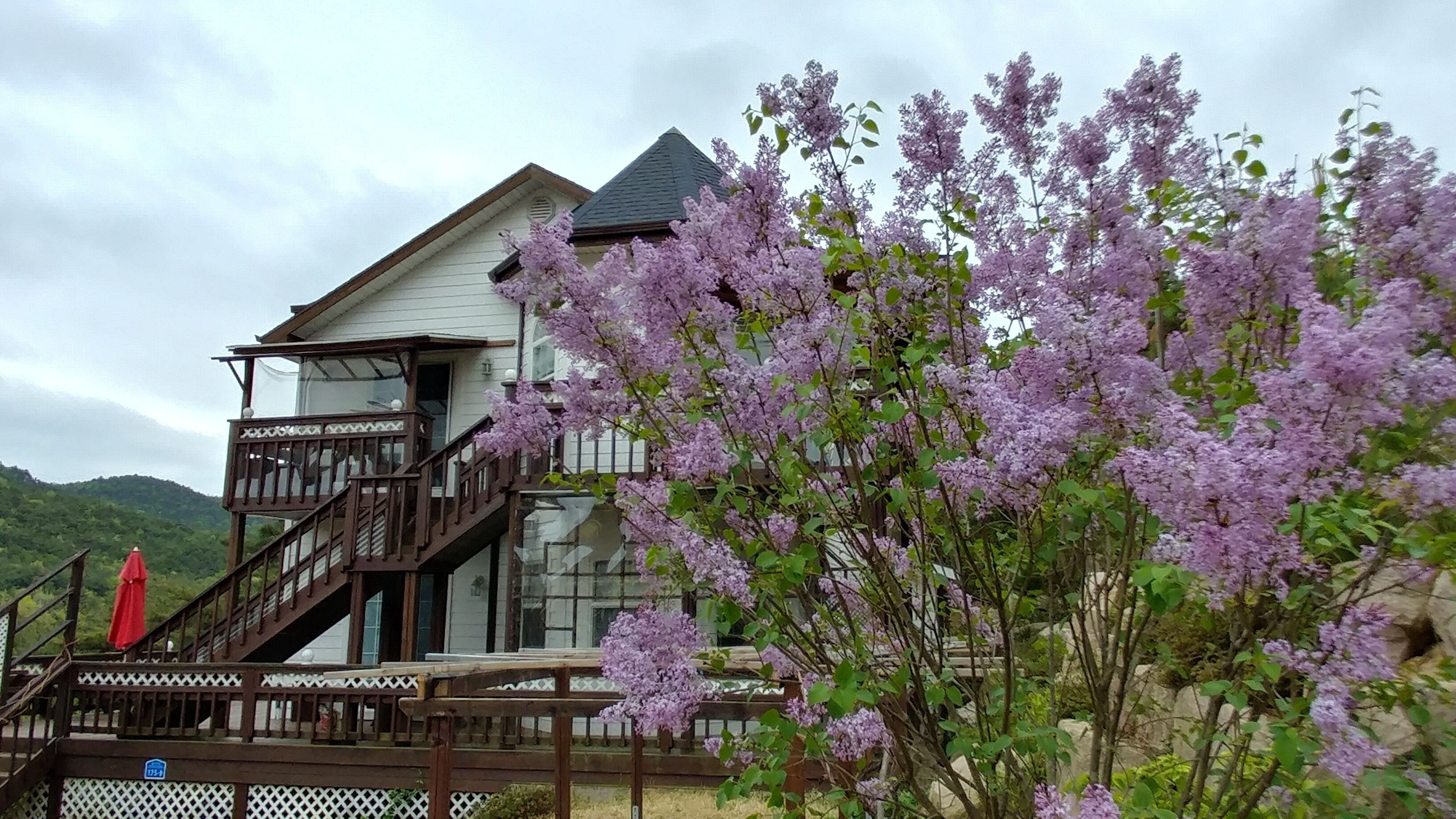 Un bâtiment doté d’un escalier menant à un balcon, lequel est entouré de fleurs violettes en pleine floraison.