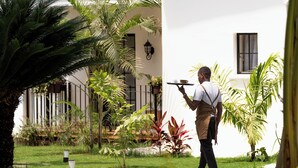 A person carrying trays with cups and a saucer, walking through a well-maintained garden with palm trees and various plants. - Brubru Lodge  (Moshi)