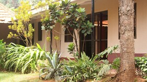 Single Room | View from room - Bromelia Guesthouse (Kampala)
