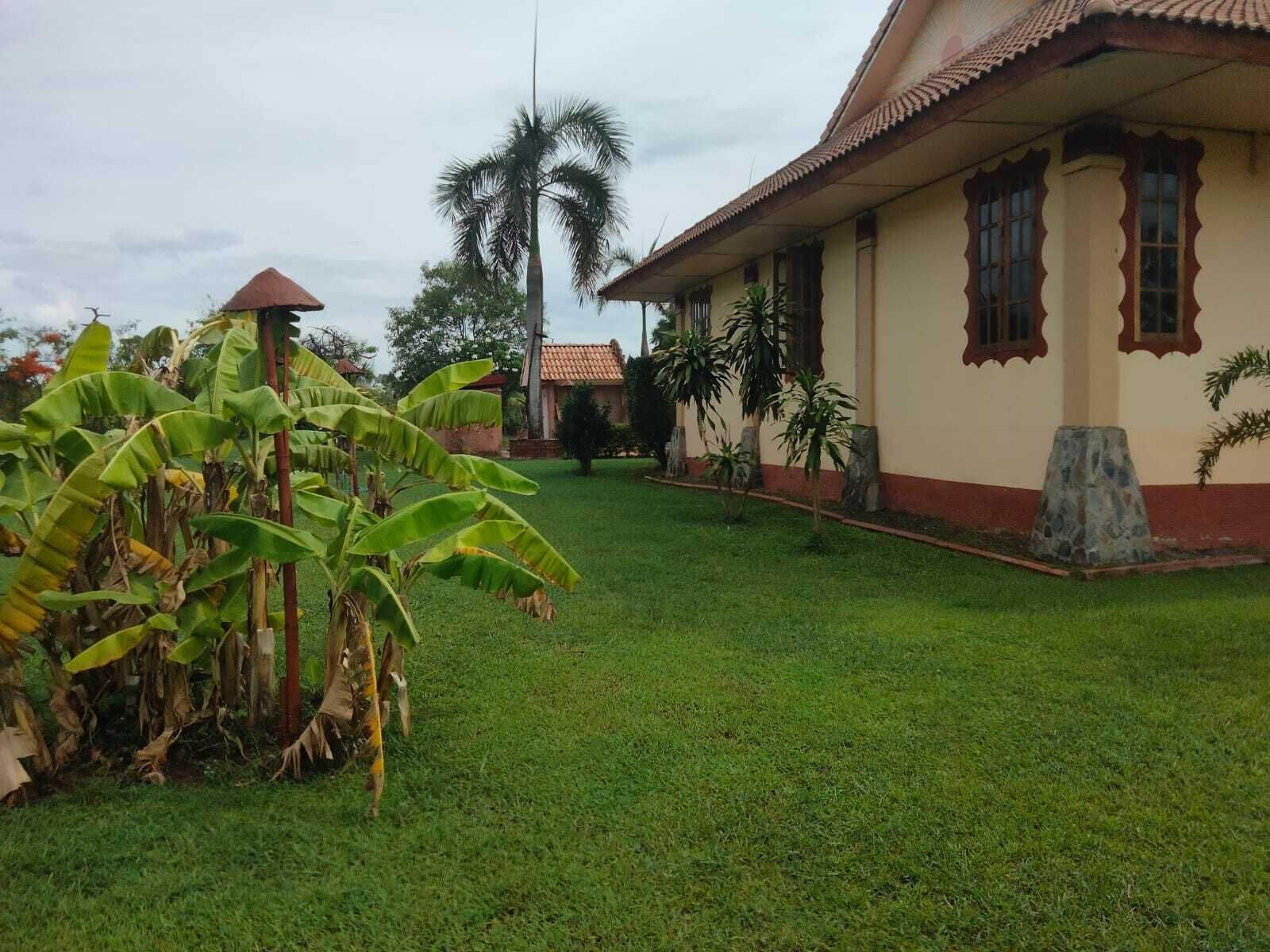 A house with a tiled roof, a well-maintained lawn, and a banana plant in the foreground.