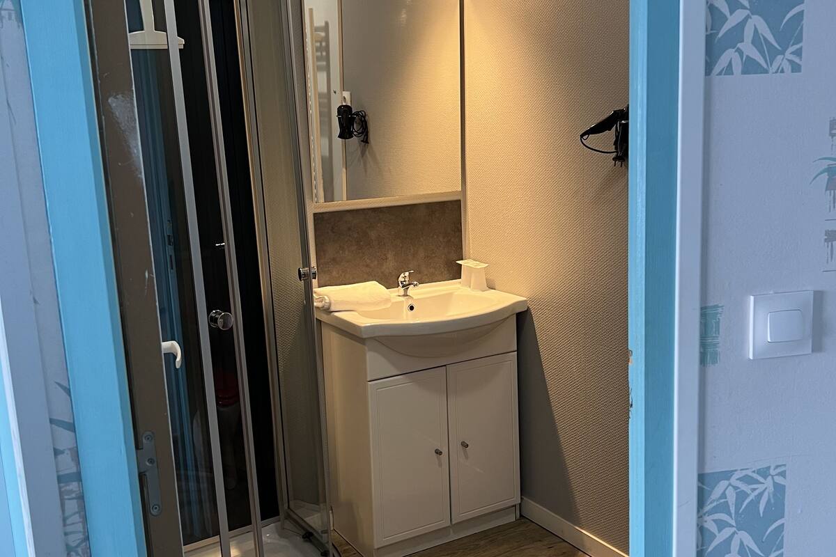 classic double room | bathroom | shower, free toiletries, hair dryer, towels