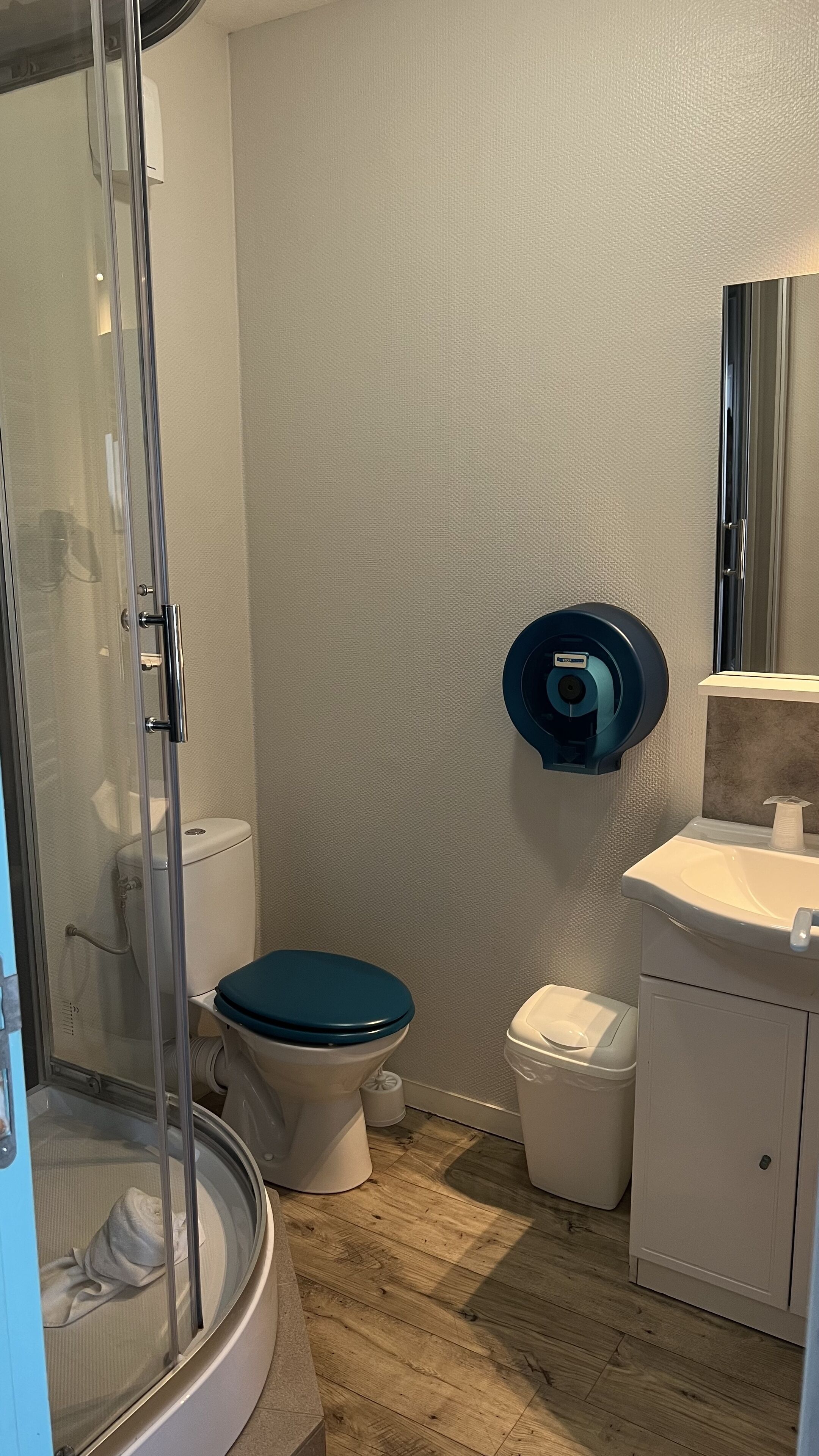 Une salle de bain avec douche, toilettes et lavabo.