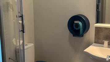 Une salle de bain avec douche, toilettes et lavabo.