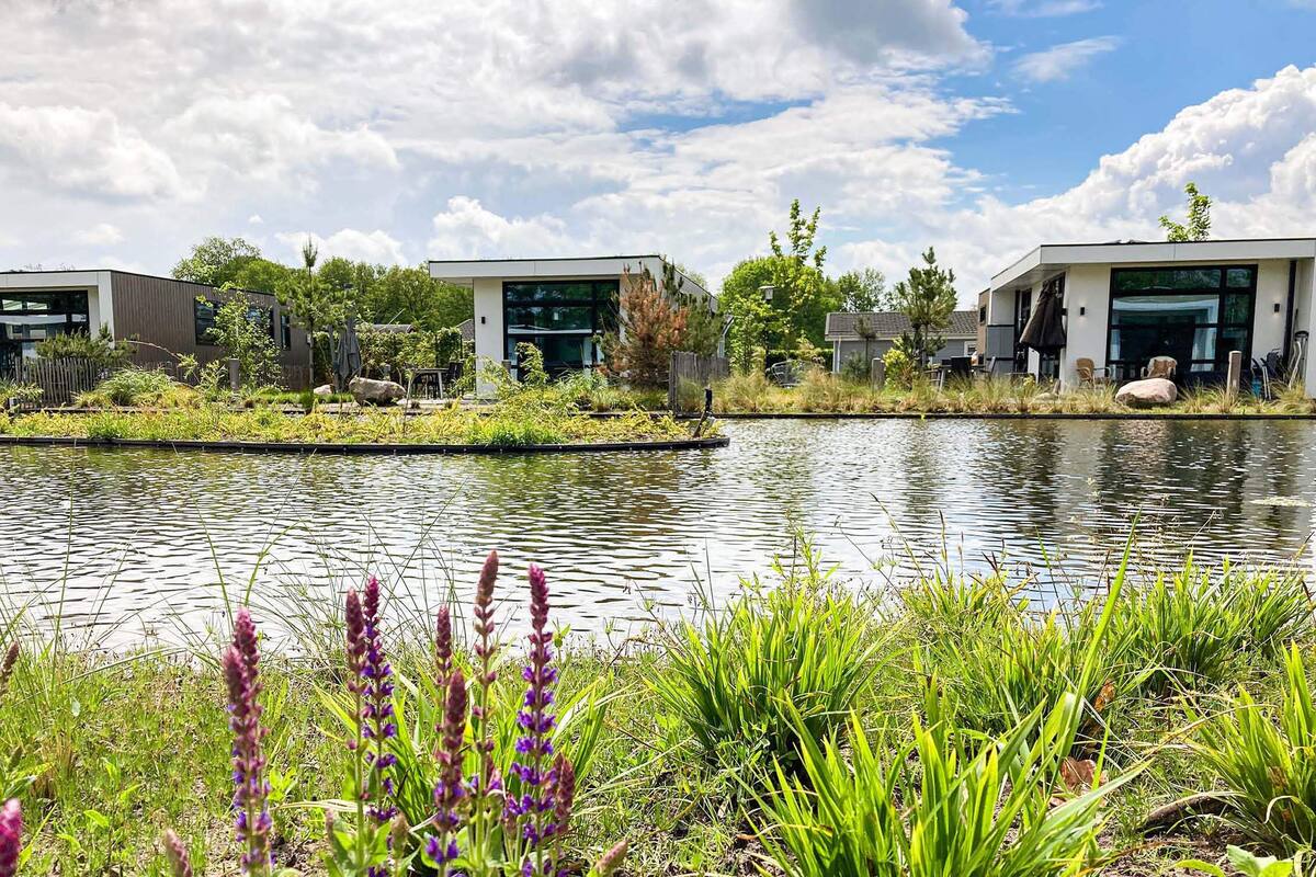 Ein moderner Gebäudekomplex mit einem spiegelnden Wasserspiegel im Vordergrund, umgeben von üppiger Vegetation und violetten Blumen.