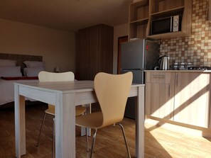 Habitación Grand (Extra large 2) | Cocina privada | Frigorífico grande, microondas, placa de cocina y hervidor eléctrico