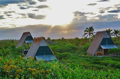 Aquatico Aframes Tofo