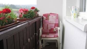 Double Room, Balcony | Balcony