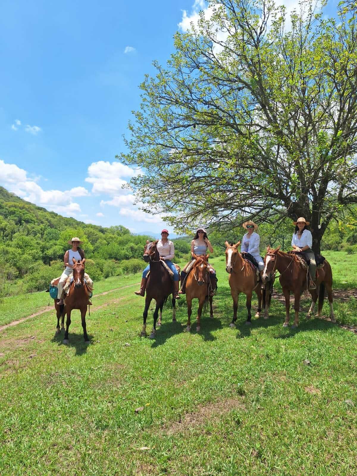 Un grupo de personas montando a caballo por un sendero cubierto de hierba, con un árbol al fondo.