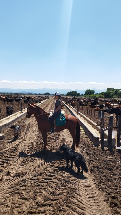 Finca Las Margaritas