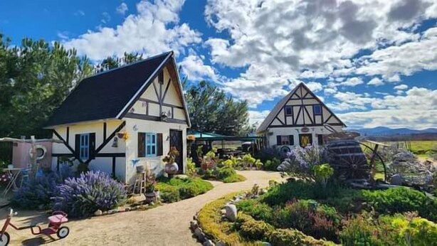 Una casa tradicional con entramado de madera y un sendero en el jardín que la lleva a ella, rodeada de exuberante vegetación.