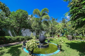 Quang cảnh vườn