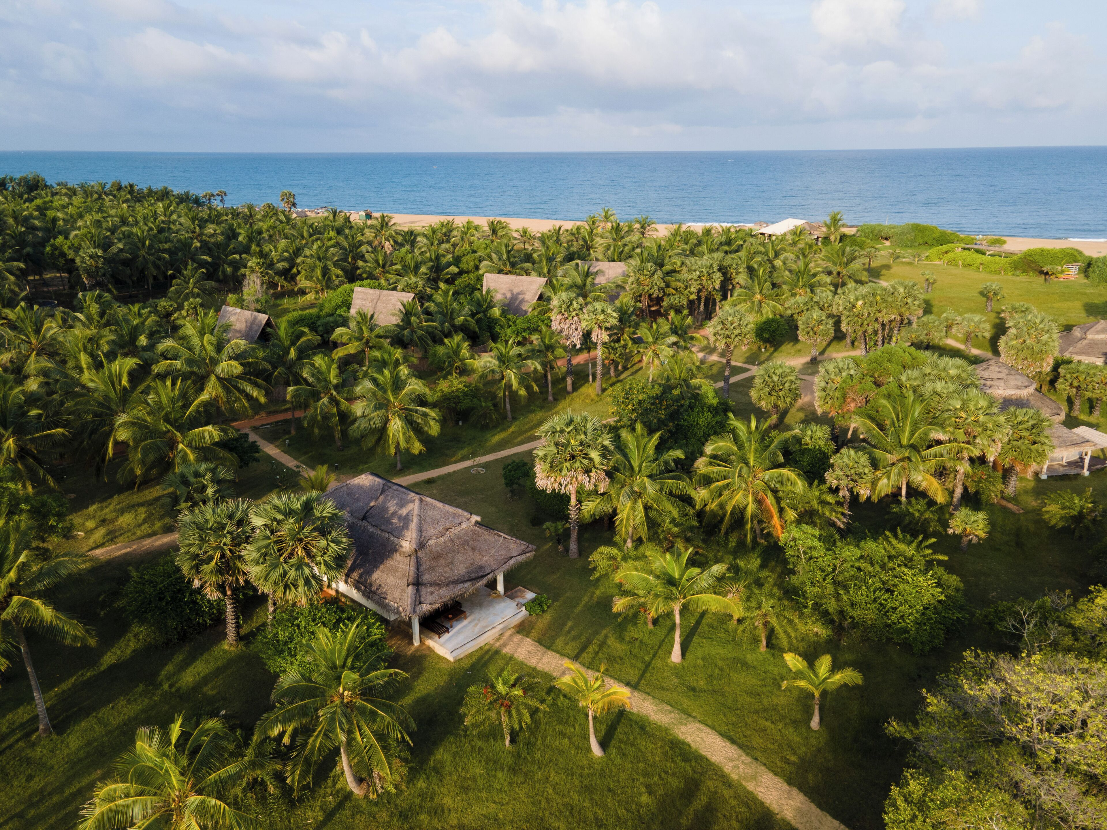 An aerial view of a resort with multiple bungalow-style buildings surrounded by lush palm trees and a beach in the background.