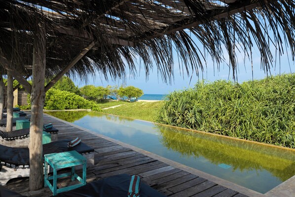 Outdoor pool, pool umbrellas, pool loungers